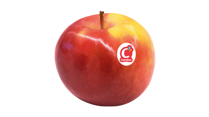 Więcej jabłek Candine® na rynku hiszpańskim